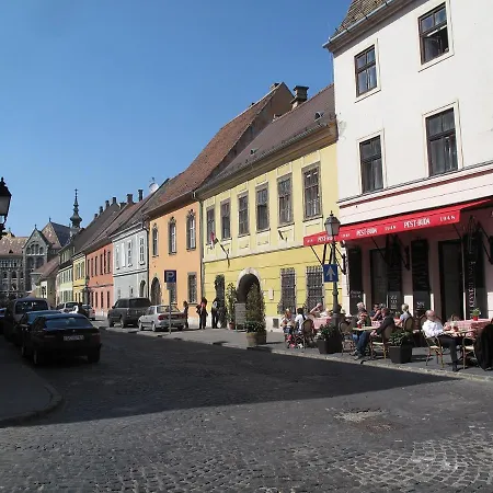 Premium Buda Castle